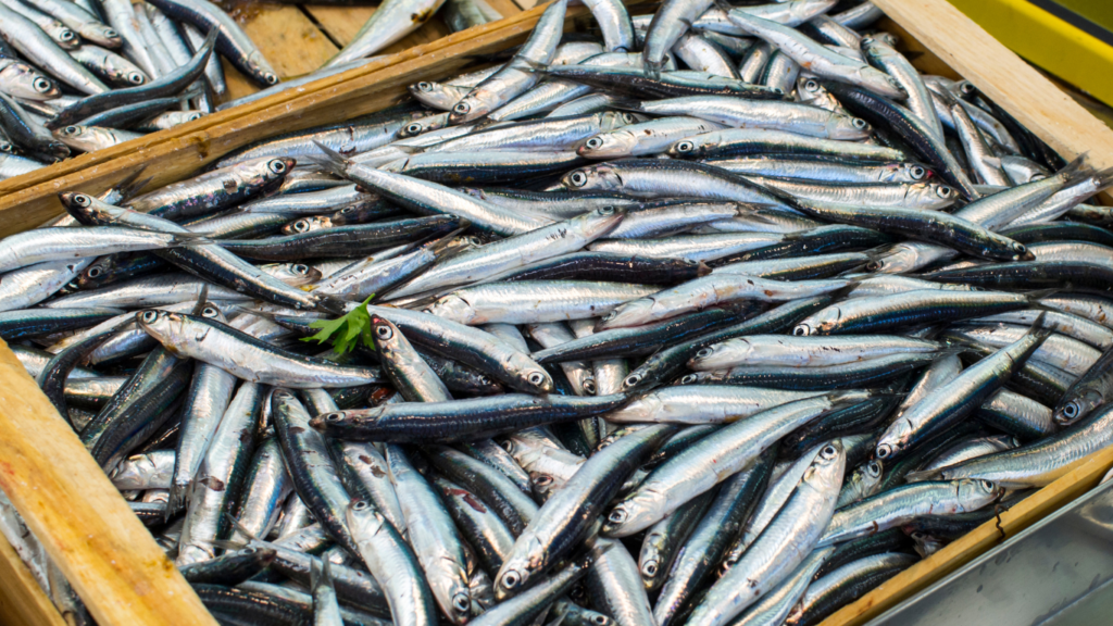 SCOPRI COSA MANGIARE A POZZUOLI: PRODOTTI E PIATTI TIPICI